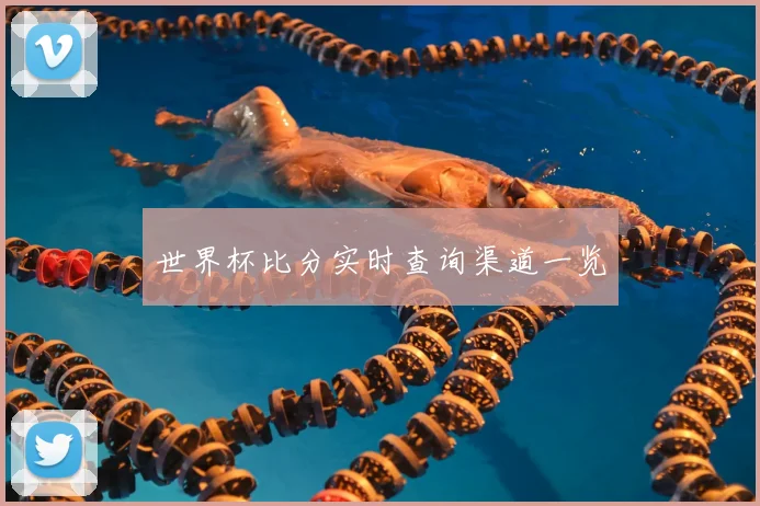 世界杯比分实时查询渠道一览