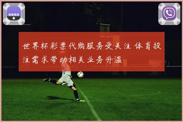 世界杯彩票代购服务受关注 体育投注需求带动相关业务升温